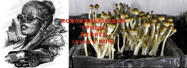 винт Анжеро-Судженск
